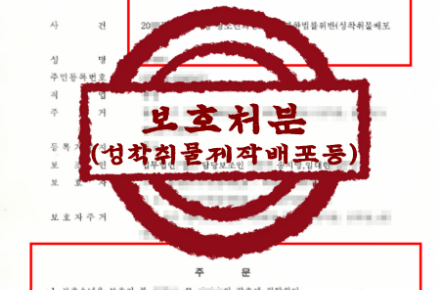 성범죄/소년사건 – 아청물 판매 혐의 분류심사원 회피 및 보호처분